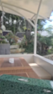 KOPIN 6 pasang cangkir teh/coffe set  KPC-04 Motif Green Hazel