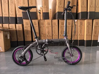 Aluminum Alloy Three-Speed Folding Bike FNHON Wind Popular 14 Inch 16 Inch Compact Portable Bicycle for Adult Outdoor Sports