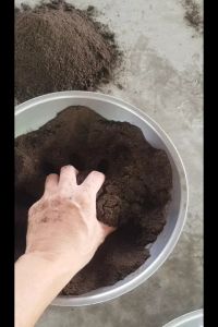 3kg ปูยหมากปรับสภาพ ดิน สูตร OM สูง Inspire by Princess เขาพริก โดย กรมพัฒนาและนักวิจัย ม.เกษตร กำแพงแสน