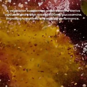 Cartigain Plus Vegetarian Sodium-free Glucosamine 1500mg - For Joints & Cartilage