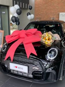 4S Shop Car Exhibition Hall Layout Car Delivery Big Red Flower New Car Pick-up Ceremony with Dowry Wedding Car Big Bow Decoration