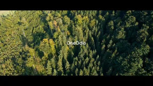 Oneodio Pro-C หูฟังไร้สาย Bluetooth Headphones หูฟัง Oneodio ProC Pro C รับประกันศูนย์ไทย