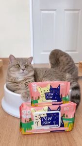 [10+2แพคเล็ก] พอว์พอว์ ผ้าเปียกสัตว์เลี้ยง เส้นใยธรรมชาติ เช็ดทำความสะอาดสุนัขและแมว (20 แผ่น) PAWxPAW ผ้าเปียกพอว์พอว์