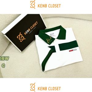 Áo thun nam phối màu thêu tinh tế vải cotton cá sấu cao cấp kèm hộp sang trọng