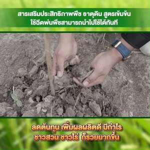 (ของแท้ พร้อมส่ง) ธาตุดิน สารเพิ่มประสิทธิภาพพืช ชนิดน้ำ 2in1 สารบำรุงดิน บำรุงพืช 5 ขวด แถมฟรี ขวดใหญ่ 1 ขวด