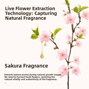 Botare | Long-lasting Fragrance Detergent 5kg