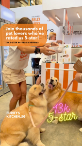 Furrys Kitchen - Trial Bundle - Bundle of 7 x 200g