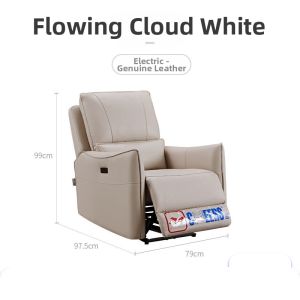 Electric Single Leisure Sofa