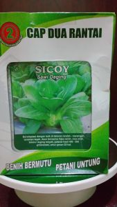Benih bibit SICOY sawi Daging isi 10gr