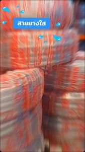 สายยางใส 1.5นิ้ว และ 1นิ้ว 2หุน ยาว 50เมตร ตราCCP ท่อน้ำPVC ใช้สำหรับรดน้ำต้นไม้