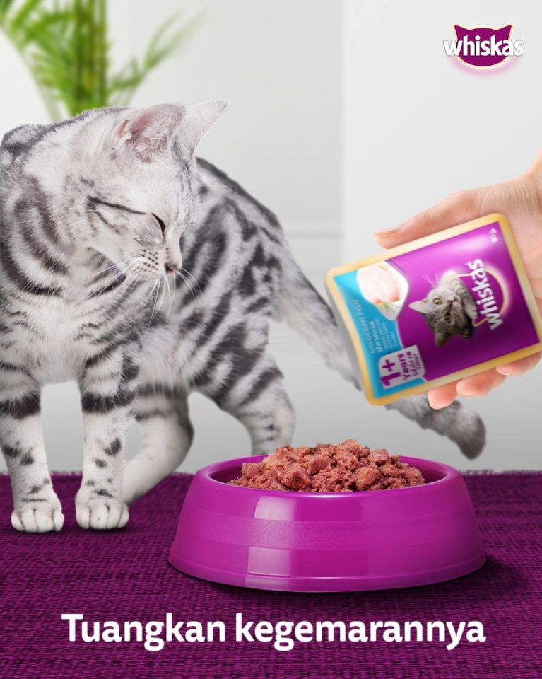 [3 x Value Pack (12 Packs) / 3 Flavor] Whiskas Wet Food Multipack For Adult Cat 80g