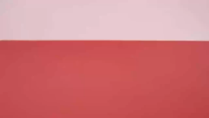 14pcs Soft Makeup Sponge Set Wet Dry Use Water Drop Triangle Powder Puff Set Flawless Application