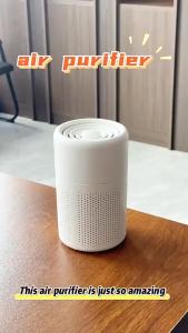 ของขวัญเครื่องฟอกอากาศสำหรับบ้าน กำจัดกลิ่นและกำจัดฟอร์มาลดีไฮด์ ขายส่ง