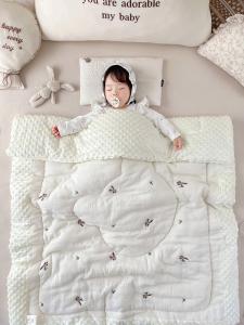 Doudou Quilt Autumn and Winter Newborn Special Child Cover Quilt Kindergarten Baby Nap Cover Blanket All Year Round Air Conditioning Little Quilt