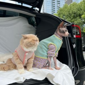 Pet Cat Vest Shirt Button Cardigan Small Dog Teddy Maltese Devon Cat Dog Clothes Ins Universal Pet Apparel Accessories