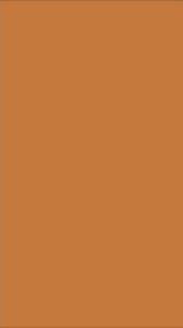 ZEO Metal CapsuleLaces: The Ultimate No-Tie Shoelace Solution