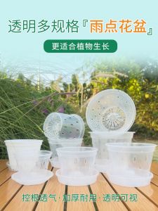 Butterfly Orchid Special Flower Pot Transparent Plastic Hard Planting Cup Oncidium Dendrobe Root-Controlling Pot Hanging Hanging Flower Pot Cross-Border