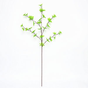 พืชเทียมญี่ปุ่นระฆังใบแต่งงานบ้านตกแต่งสวนพืชใบ