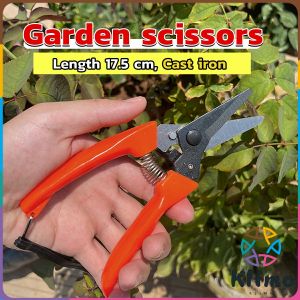 KLIMO Garden Pruning Grafting Shears: A Comprehensive Guide