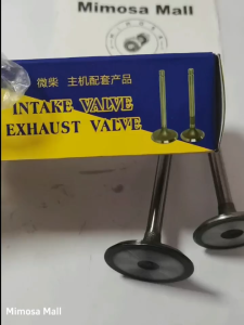 1Set Engine Valve Intake Exhaust 192F Aircooled Diesel Engine