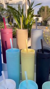 Chinese New Year Gift SG Ready Stock Skinny Double-Layer Plastic Cup Minimalist Rubber-Coated Water Cup 16OZ Sealed Straight Straw Cup Drinkware Cup