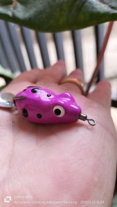 Umpan ikan gabus mainan Sigacor soft frog mini ukuran 3 cm Berat 5 gram palingo ampuh dan kiler terbuat dari bahan yang berkualitas sangat lembut dan awet tidak mudah sobek dan tidak.hook  berkarat mudah berkarat
