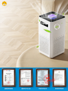 Small Size Air Purifier for Office Smoking Room Home Negative Ion Disinfection Machine Removes Formaldehyde NOCCLILI TC003
