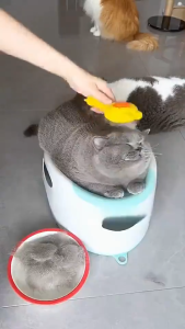 Pet Hair Removal Self Cleaning Slicker Brush Dog Cat Comb Grooming Deshedding Tool for Undercoat Loose Hair Cute Durable