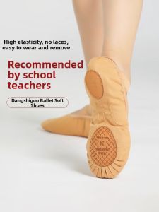 DAN’S GIRL | Ballet Shoes Soft Bottom Cat Claw Design