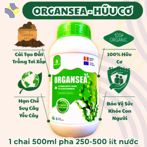 Phân Bón Hữu Cơ Cao Cấp Cho Lan | Organsea 500ml | Tảo Acosphyllum Nodosum Bắc Cực | Auxin | Cytokinin | Betaines | Mannitol | 70+ Enzyme Dưỡng Rễ Dưỡng Lá