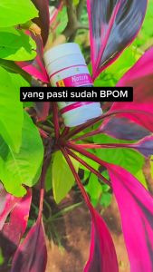NATURE GEMUK BADAN Kapsul Dan Madu Paket Lengkap Cepat Tambah Berat Badan Alami Orginal BPOM