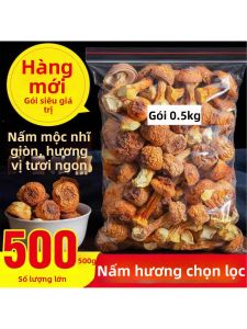 Nấm Agaricus blazei Murrill Trồng Cây Khô Để nấu Súp