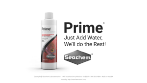 SEACHEM PRIME CONCENTRATED ANTI CHLORINE WATER CONDITIONER FOR MARINE & FRESHWATER- 2L