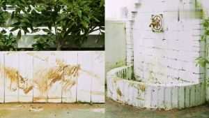 【Ready Stock】3PCS 360 Hex Shank Scrubber Brush Set Attached Cordless Drill Attachment Cleaner Scrubin Cleaning Tool