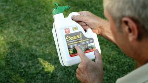 Seasol The Seaweed CONCENTRATE SOLUTION Complete Health Treatment 1.2 L. Fertilizer/Nutrient for root/flower/seed/fruit/plant/soil.