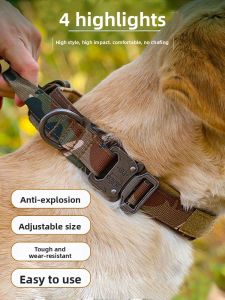 VOA | Large Dog Anti-Pull Tactical Collar
