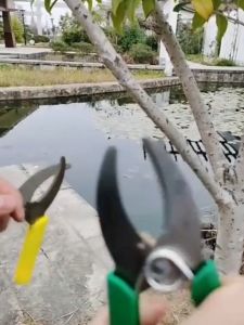 กรรไกรตอนกิ่งไม้ คีมตอนกิ่ง กรรไกรตัดแต่งกิ่งด้วยใบมีดเหล็กคม และด้ามจับกันลื่น ที่ตอนกิ่งไม้ อุปกรณ์ตอนกิ่ง สีเขียว