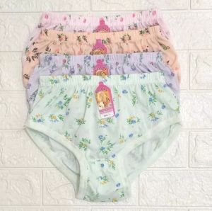 celana dalam wanita 1 lusinan grosir/ Celana Dalam cewek ORIN Murah /CD wanita JUMBO Motif Bunga Brief Wanita Bahan Satin - Lazada