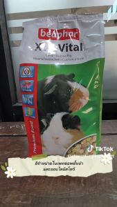 Beaphar อาหารหนูแกสบี้ XtraVital Guinea Pig 1 กก. เกรดซุปเปอร์พรีเมี่ยม จากเนเธอร์แลนด์