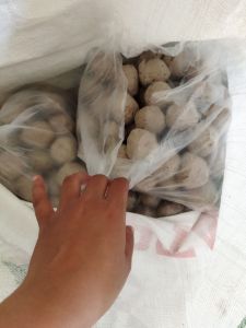 baso ikan sinar bahari 100 biji