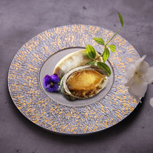 Creative Ceramic Dining Utensils Japanese Style round Dinner Plate Hotel Vintage Sushi Plate Cake Plate Steak Plate Roast Meat Plate