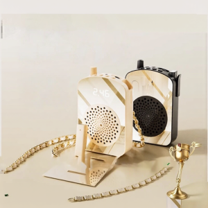 Kinyo | Wireless Lapel Lecture Microphone with High Volume Speaker