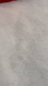 BARU!!! (J) Tas Selempang Wanita WB121 Tas Kanvas Wanita Import Tas Selempang Kanvas Import Kekinian