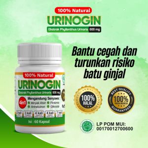 Urinogin Obat Herbal Peluruh Batu Ginjal Kencing Batu