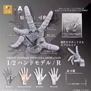 Artistic Miniature Model Toy Jointed Finger Hand Palm Wrist Rotatable Art Collectible Figurine Display Item from Japan