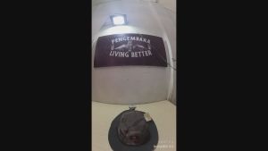 Topi SANGALAKI Square Jungle Hat Camo Brown