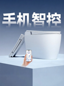 DONGPENG | Intelligent Touch Silent Flush Toilet