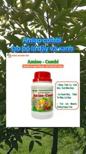 Amino Combi Chai 150ml - Phân Bón Giúp Lá Xanh Dày Thân To Mập Hoa Đẹp Chống Rụng Nụ