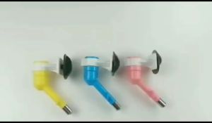 Feeder Botol Air Hewan: Desain Praktis & Solusi Minum Hewan Peliharaan