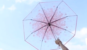 YUOYU Transparent umbrella female folding students such as summer flowers white goddess net red umbrella